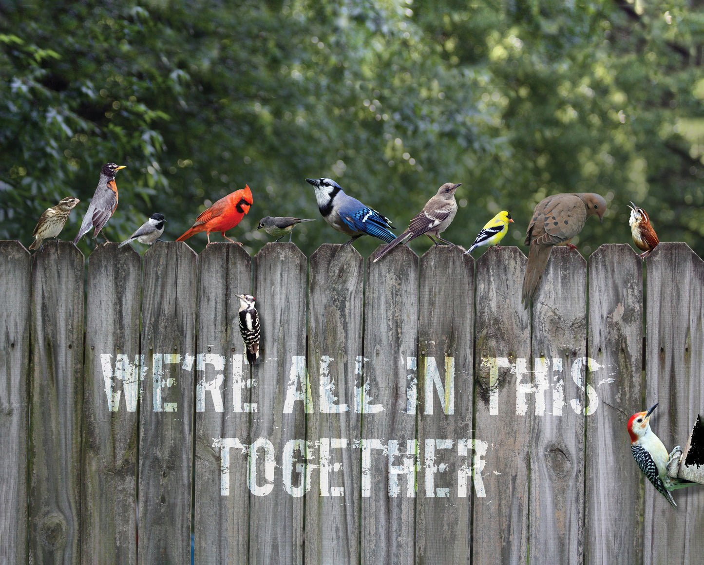 AIF199 We're All In This Together 12x15