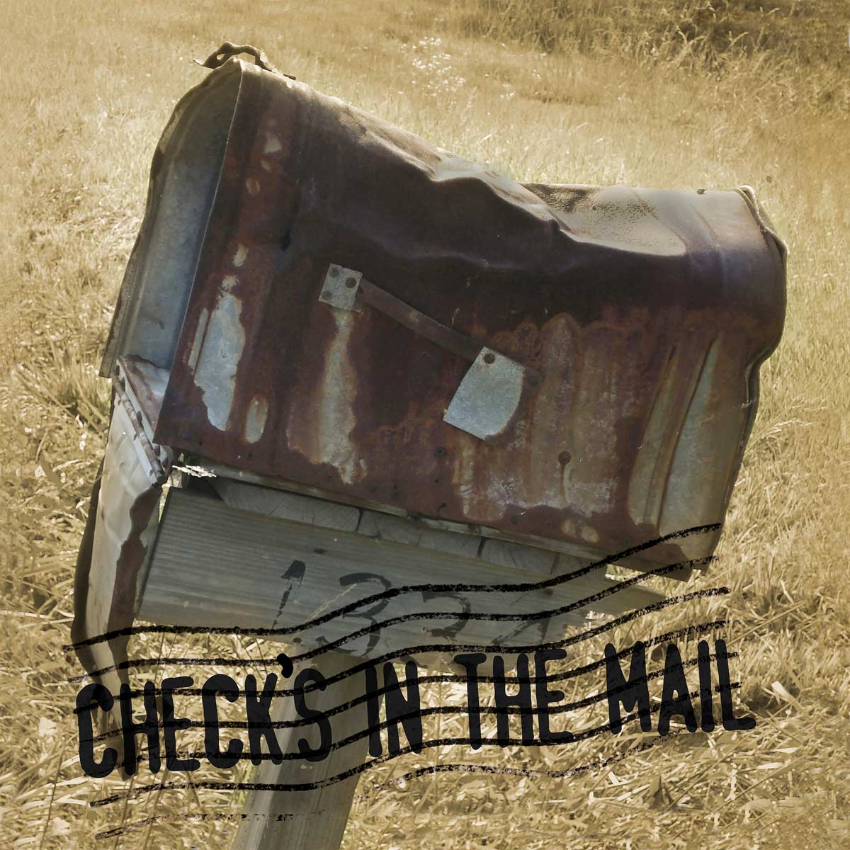 AIF201 Checks in the mail 12x12