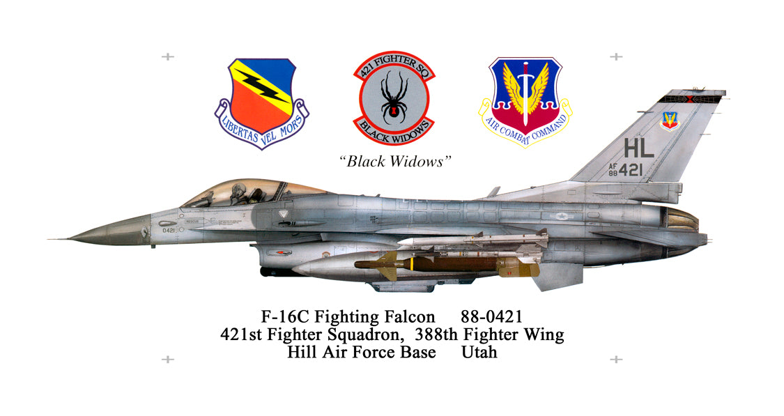 DP024 - F-16C Fighting Falcon Vintage Sign
