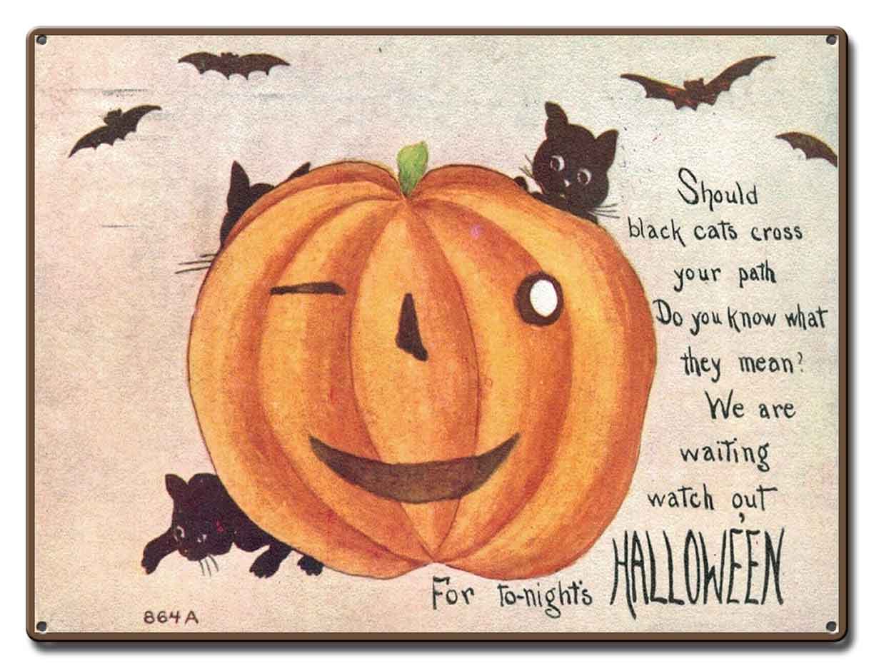 AMI377 - HALLOWEEN 7