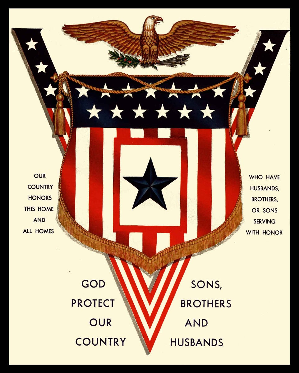 AMI459 - PROTECT OUR COUNTRY - PLASMA