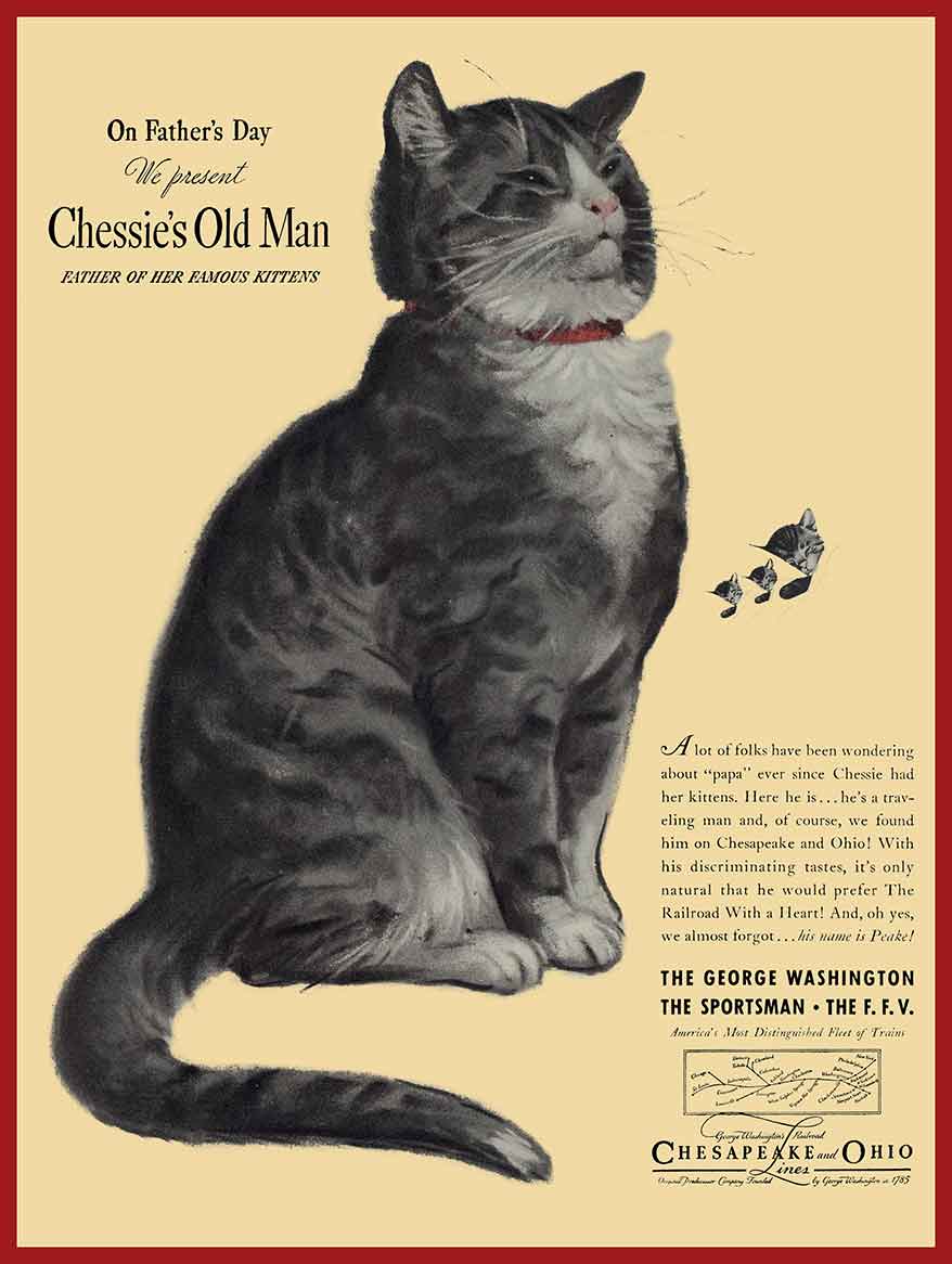 AMI863 - P2 CHESSIE 3 RED