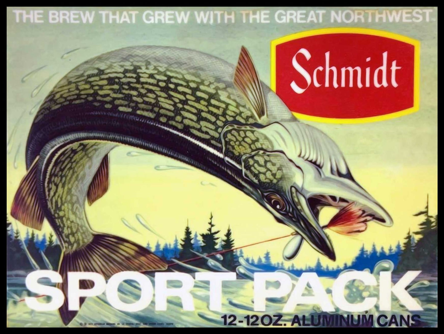 AMI991 - SCHMIDT SPORT PACK - PLASMA