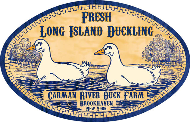 MVS007 - LONG ISLAND DUCKLING - PLASMA