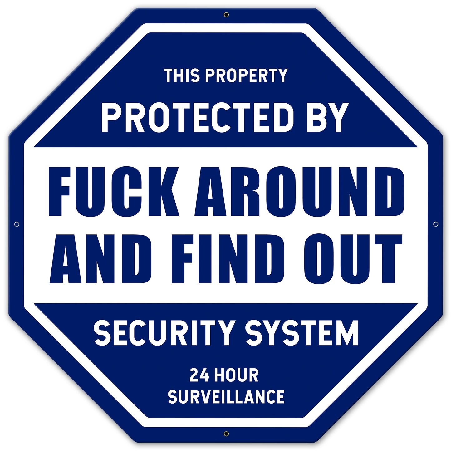PSB389 - F AROUND AND FIND OUT SECUIRTY - PLASMA
