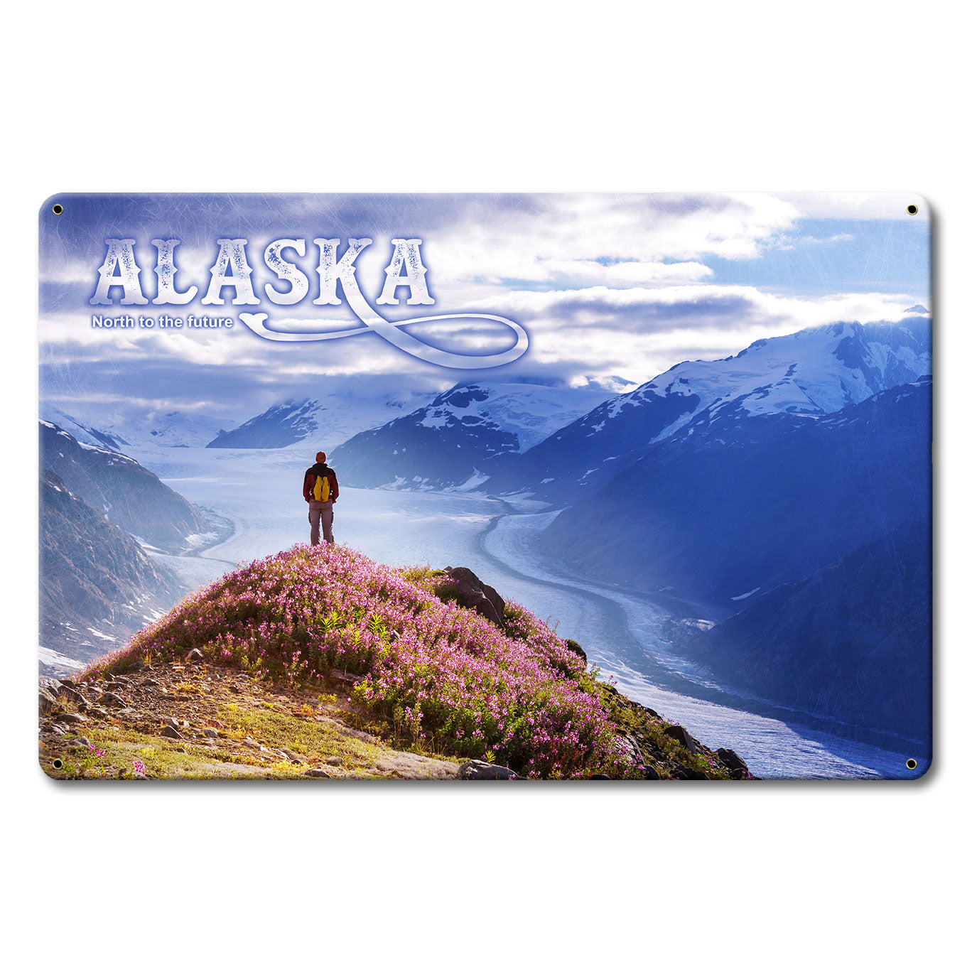 PTSB676 - Alaska North To The Future