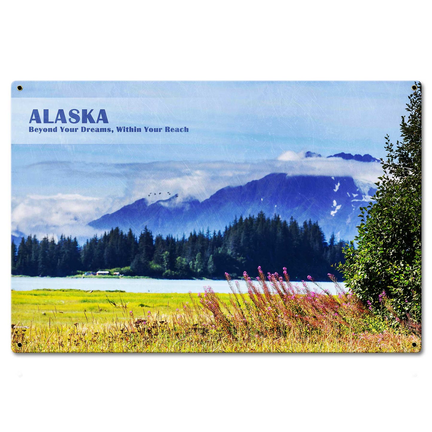 PTSB679 - Alaska Beyond Your Dreams