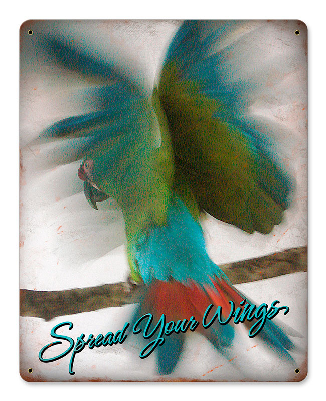 SPREAD YOUR WINGS