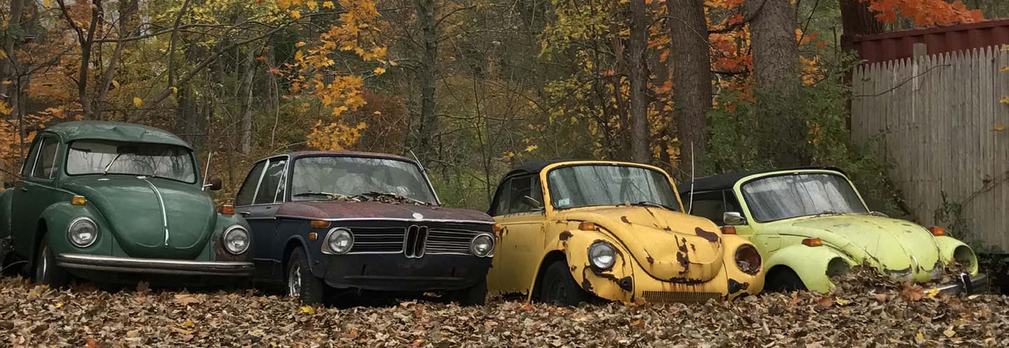 Three Bugs and A Beemer Vintage Sign