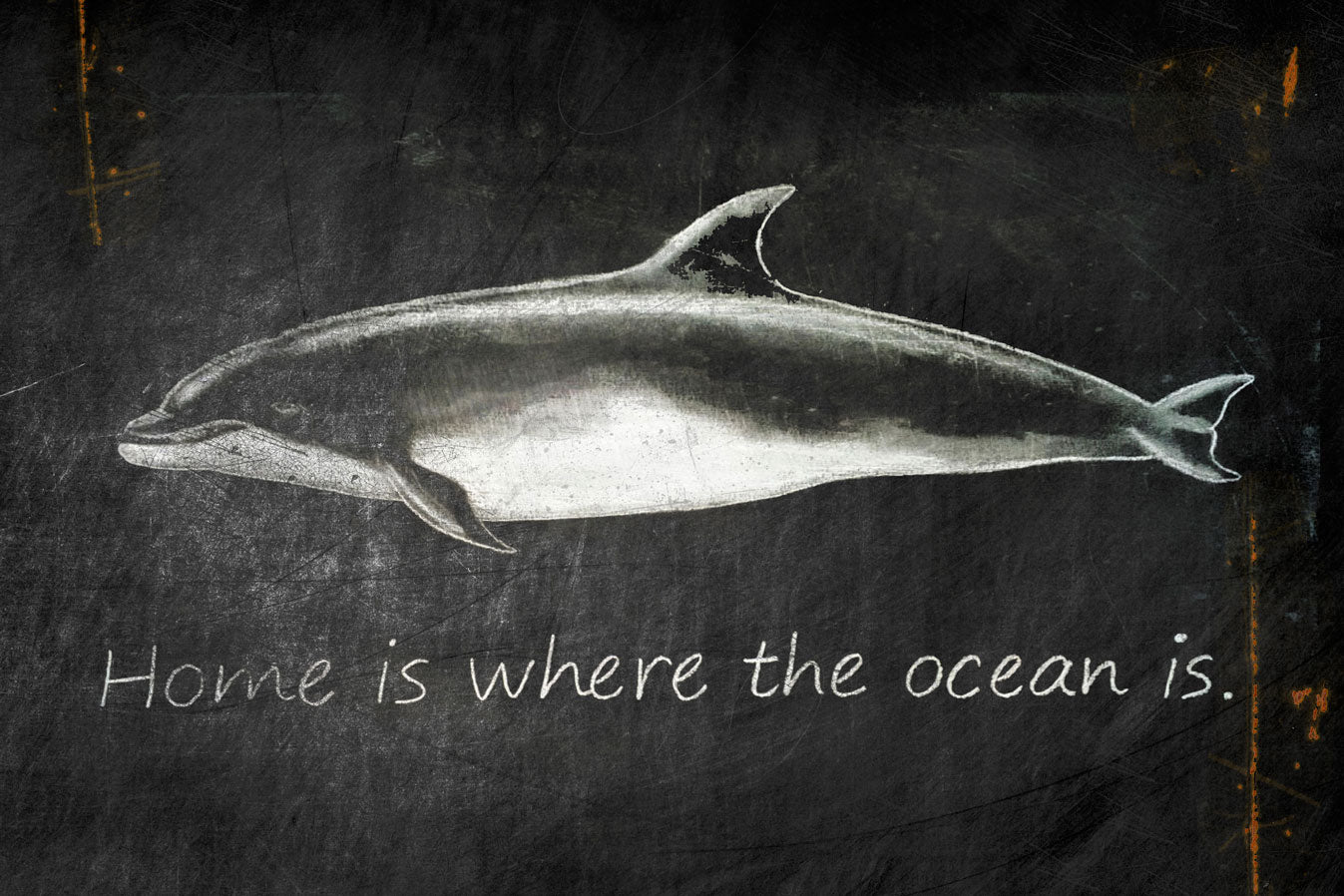 CAL332 - 24 X 16 - VINTAGE SIGN - HOME WHERE DOLPHIN - CHALK