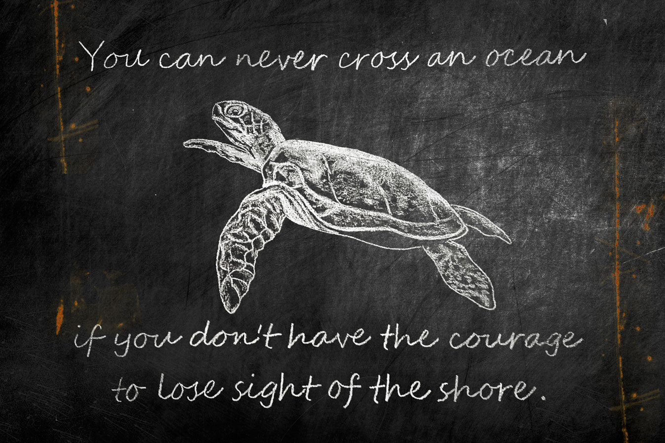 CAL334 - 25 X 16 VINTAGE SIGN - TURTLE - CHALK