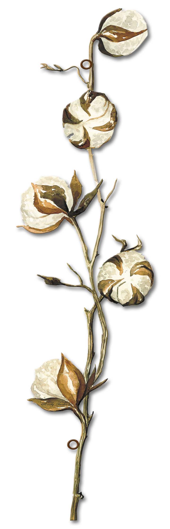 Cotton Stem 2 Vintage Sign