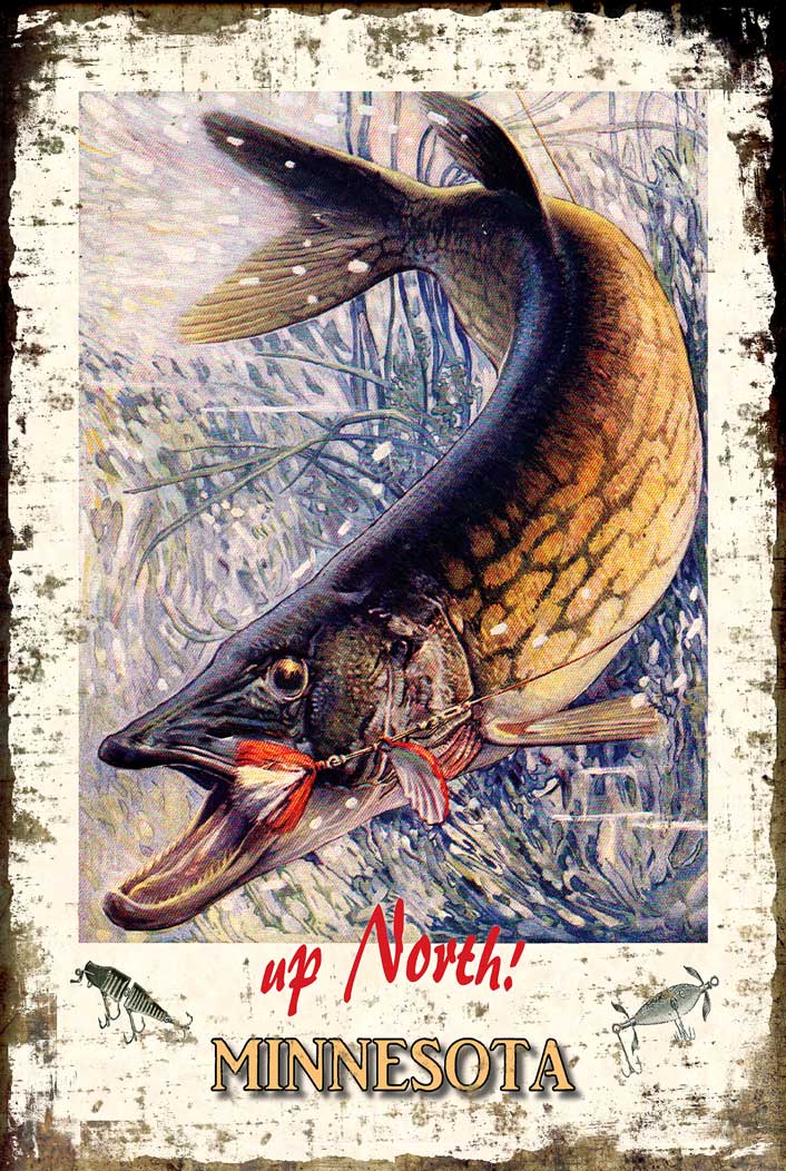 COMUV288 - MN PIKE