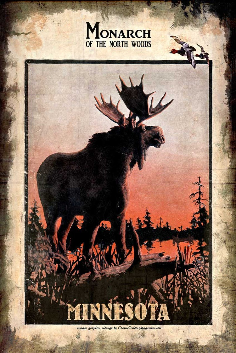 COMUV404 - MN MONARCH MOOSE