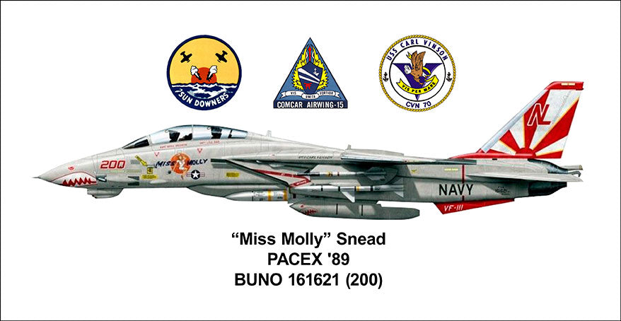 CUS073 - MISS MOLLY LICENSE PLATE