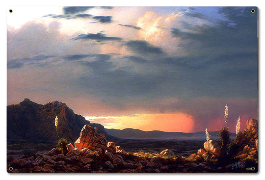 Arizona Rain Vintage Sign