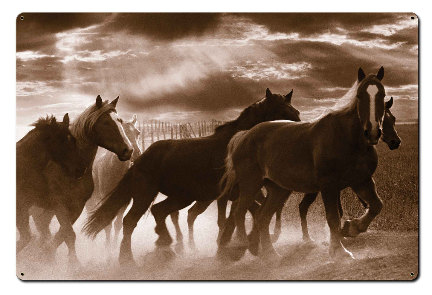 Running Horses