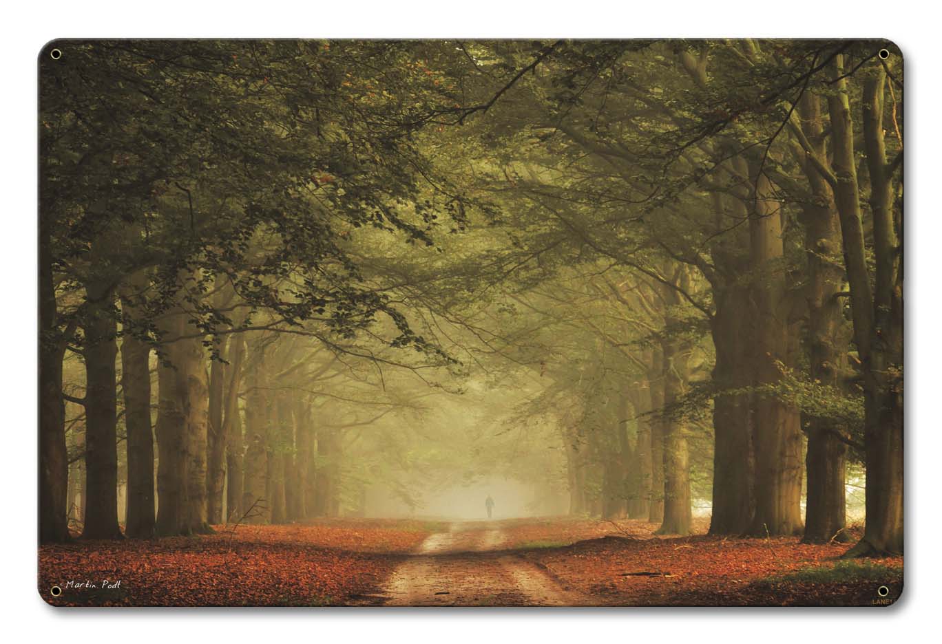 Walk In The Woods Vintage Sign