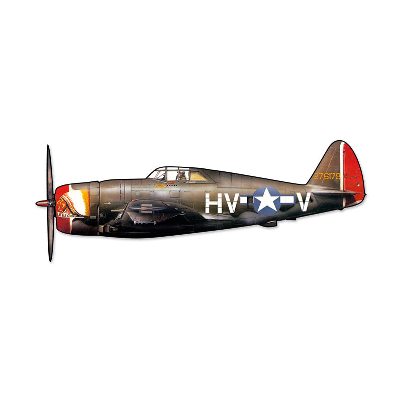 P-47D Thunderbolt Vintage Sign