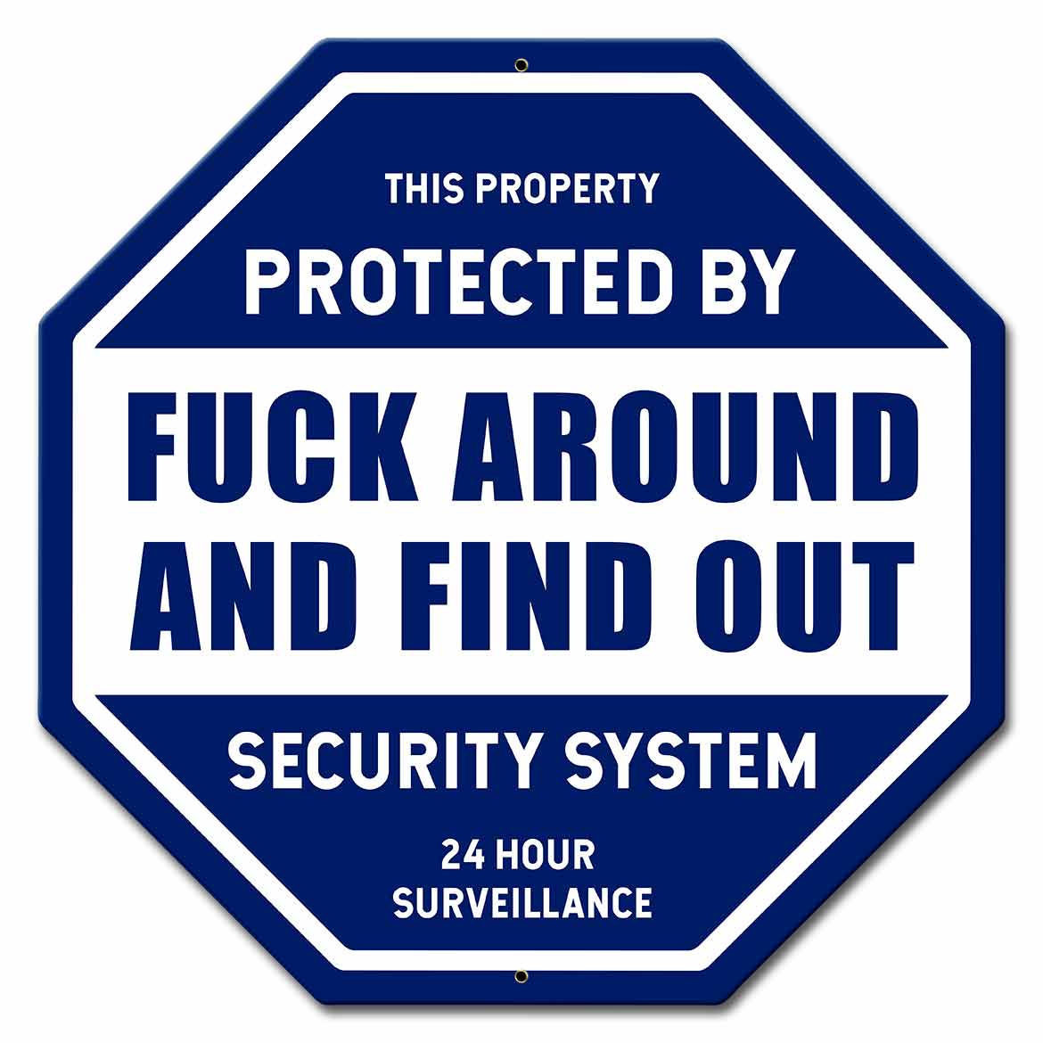 F Around and Find Out Security Metal Sign 15in X 15in