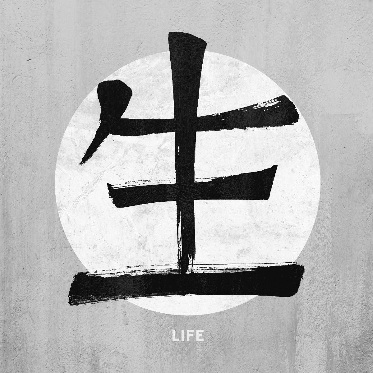 Life Kanji Vintage Sign