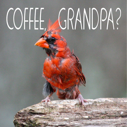 AIF202 Cardinal Grandpa Coffee 12x12