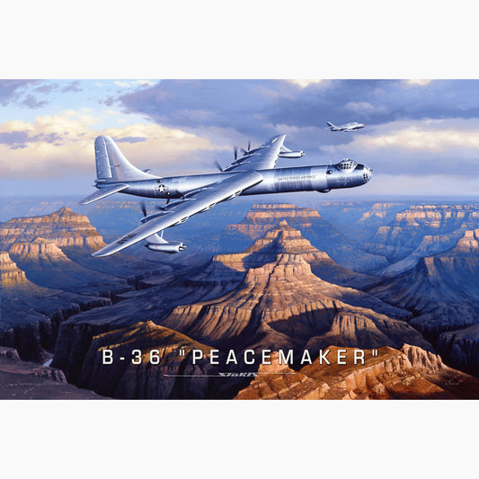 STK105 - B36 Peacemaker Vintage Sign