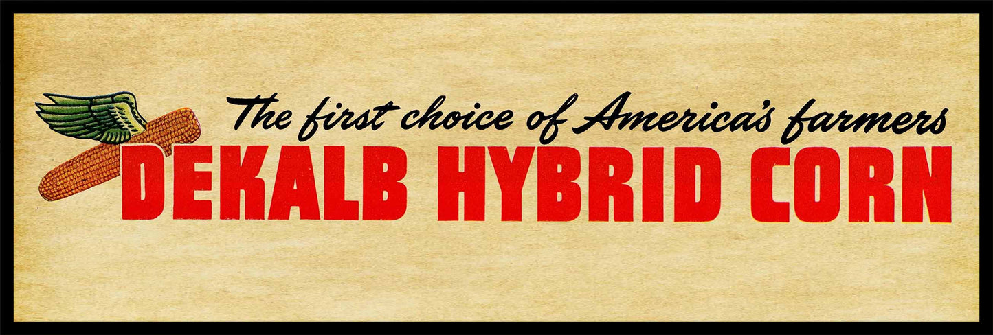 AMI356 - DEKALB HYBRID CORN - PLASMA