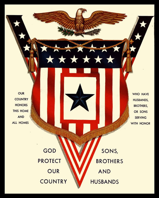 AMI459 - PROTECT OUR COUNTRY - PLASMA