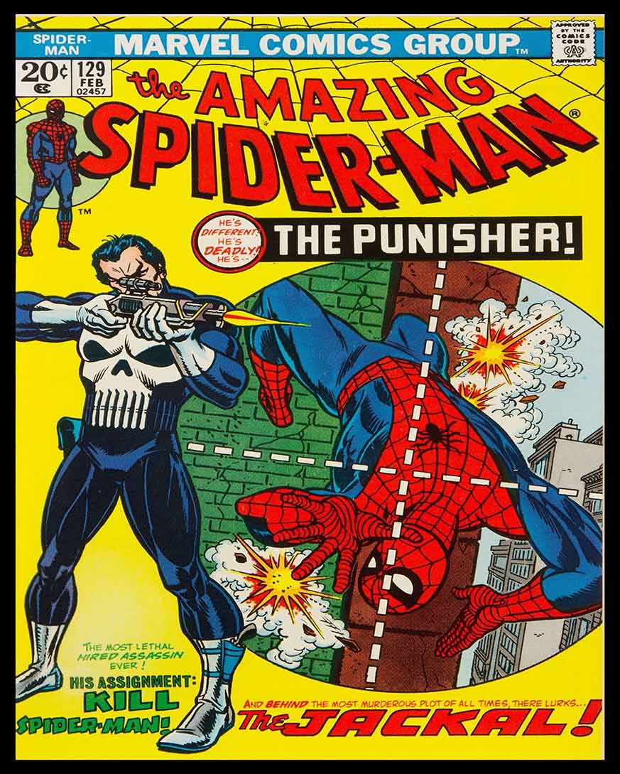 AMI473 - SPIDER MAN PUNSIHER - PLASMA