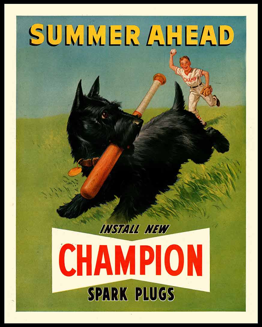 AMI481 - CHAMPION SUMMER - PLASMA