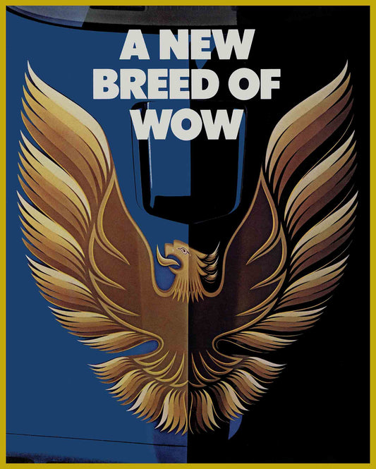 AMI625 - ZULU 1979 TRANS AM GOLD - PLASMA