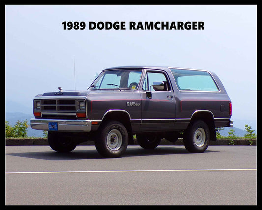 AMI749 - RAMCHARGER 2 - PLASMA