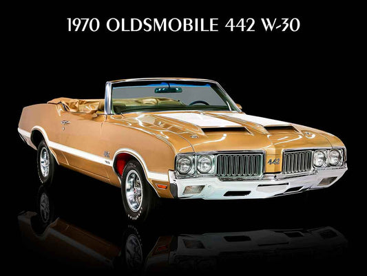 AMI843 - 1970 OLDSMOBILE 442 W-30