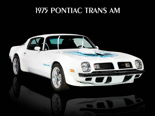 AMI851 - 1975 PONTIAC TRANS AM