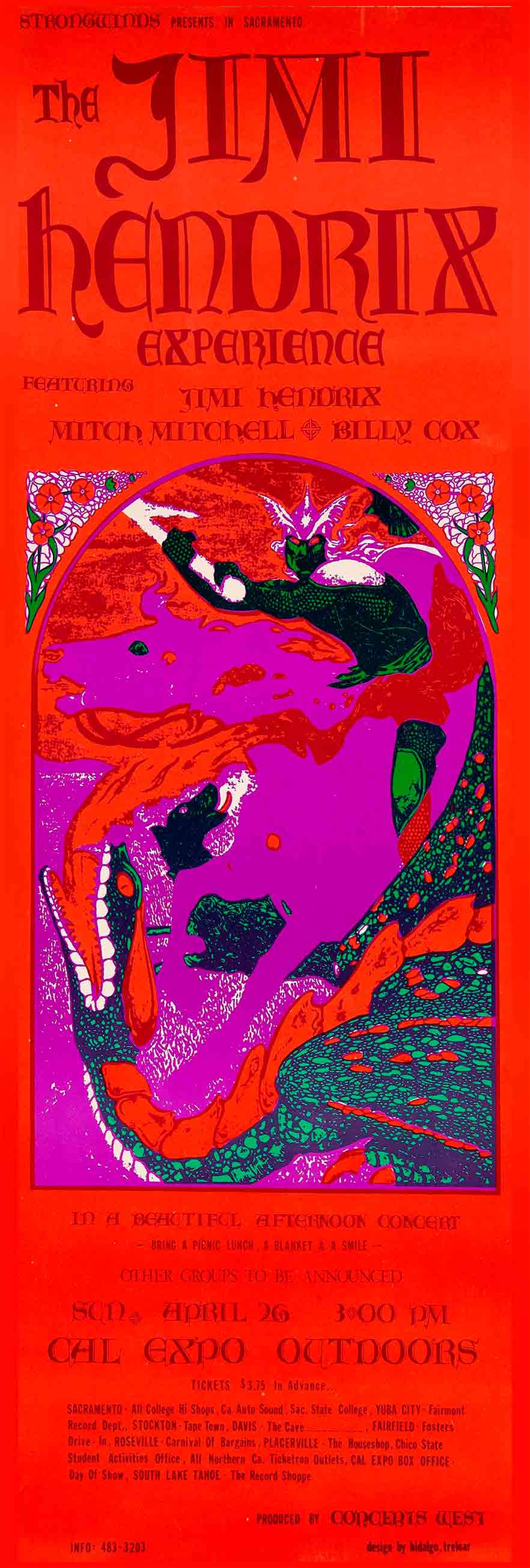 AMI960 - 1970 JIMI HENDRIX LONG - PLASMA