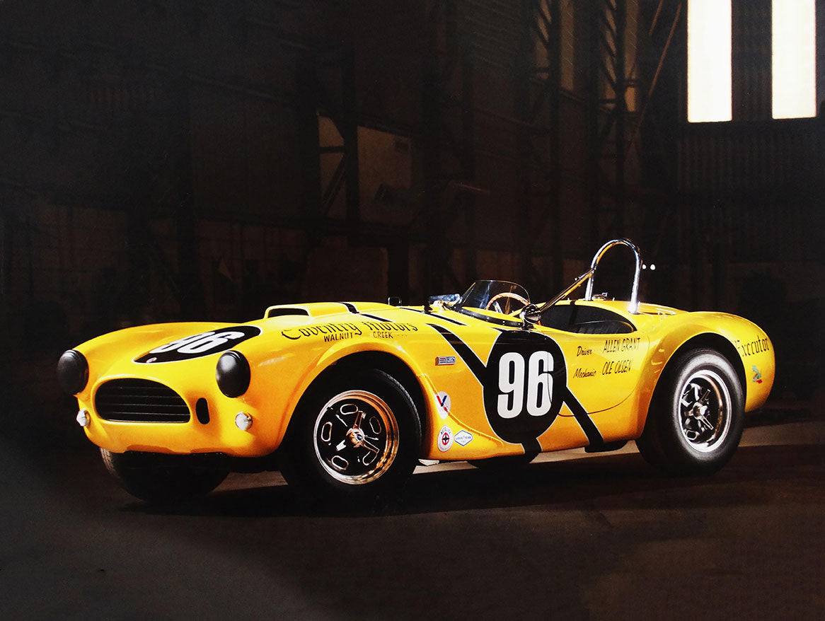 CCE029 - YELLOW 96 COBRA