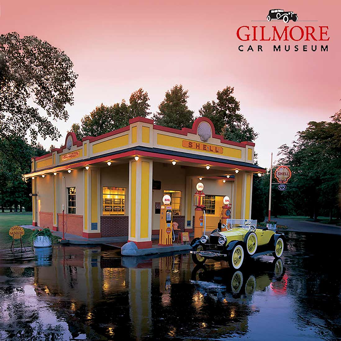 CCE077 - GIL SHELL - PLASMA