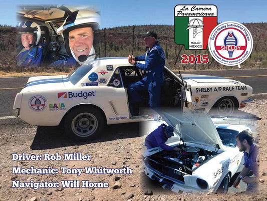 CCE081 - SHELBY AUTOMOTIVE