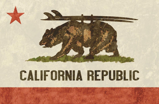 CHR944 - CALIFORNIA BEAR