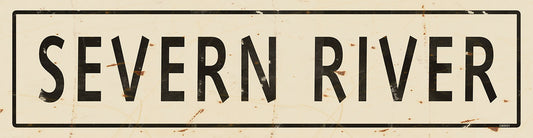 CMD031 - SEVERN RIVER CRM