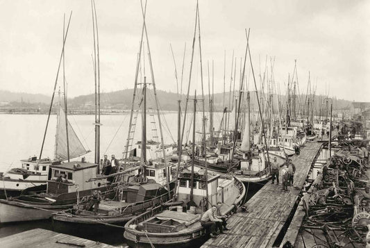 CMD091 - FLEET OF FOATS