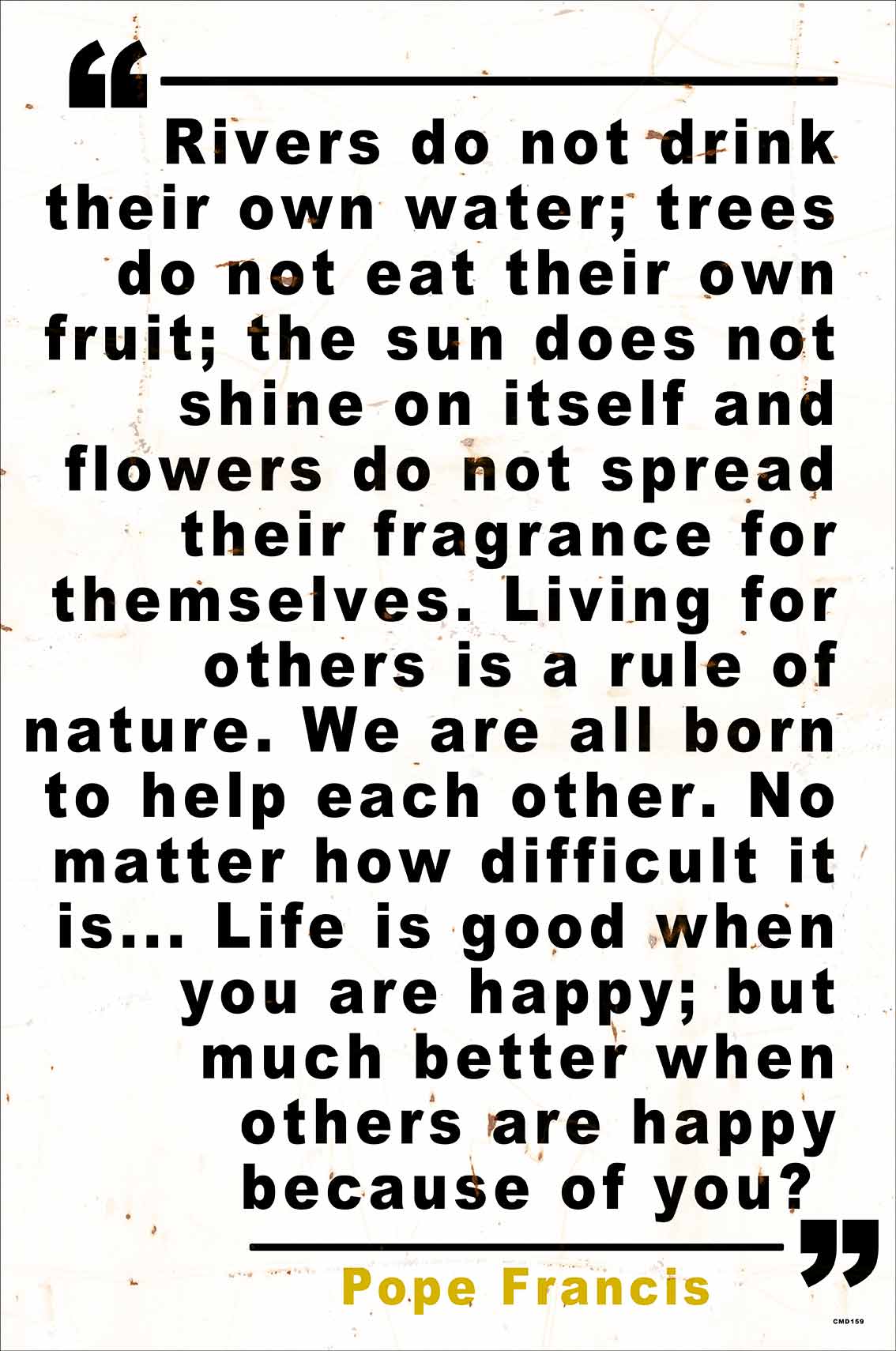 CMD159 - POPE FRANCIS V2