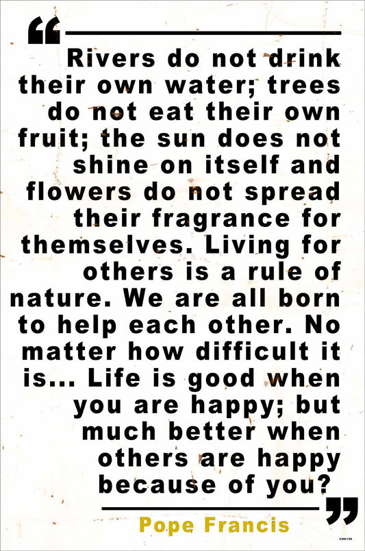 CMD159 - POPE FRANCIS V2