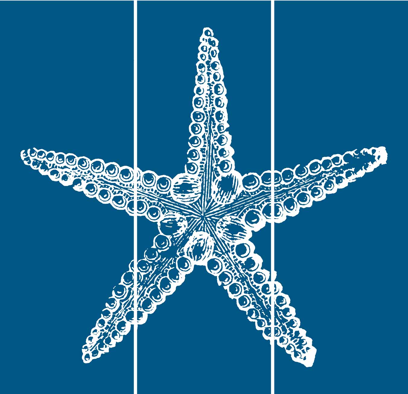 JAM641 - STARFISH TRIPTY NAVY WHITE - PLASMA