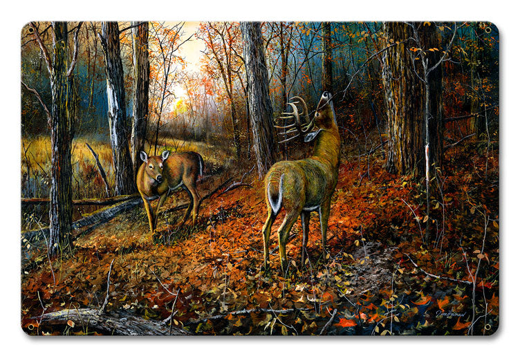 JH286 - SIGNS OF AUTUMN