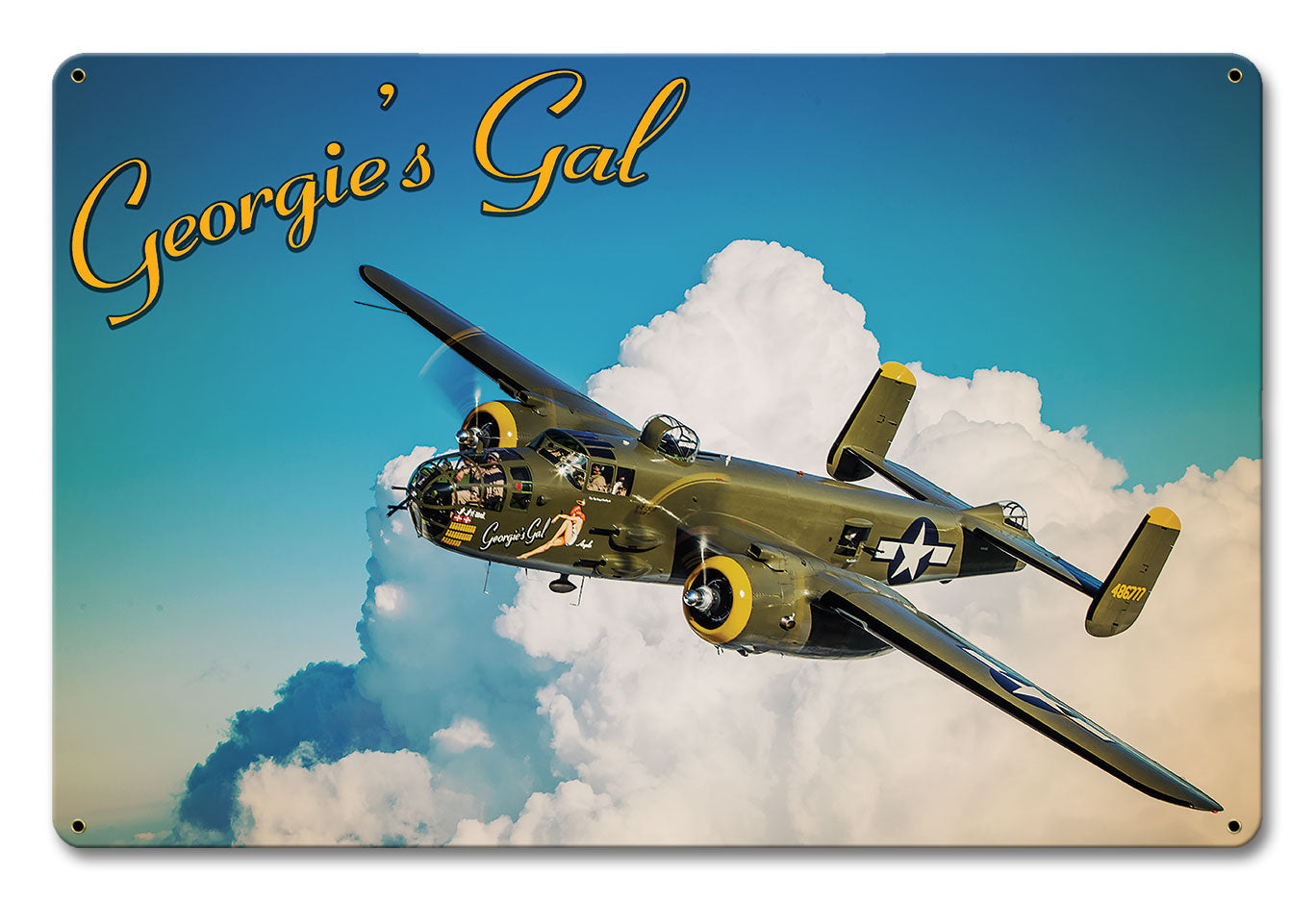 LIAM007 - GEORGIES GAL PLANE POSTCARD