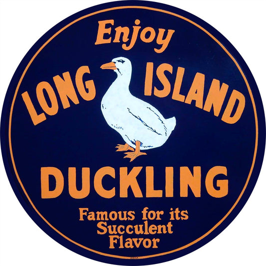 MVS014 - LONG ISLAND DUCKING - PLASMA