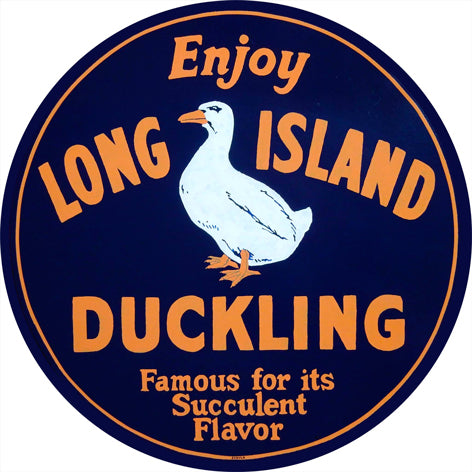 MVS015 - LONG ISLAND DUCKING - PLASMA
