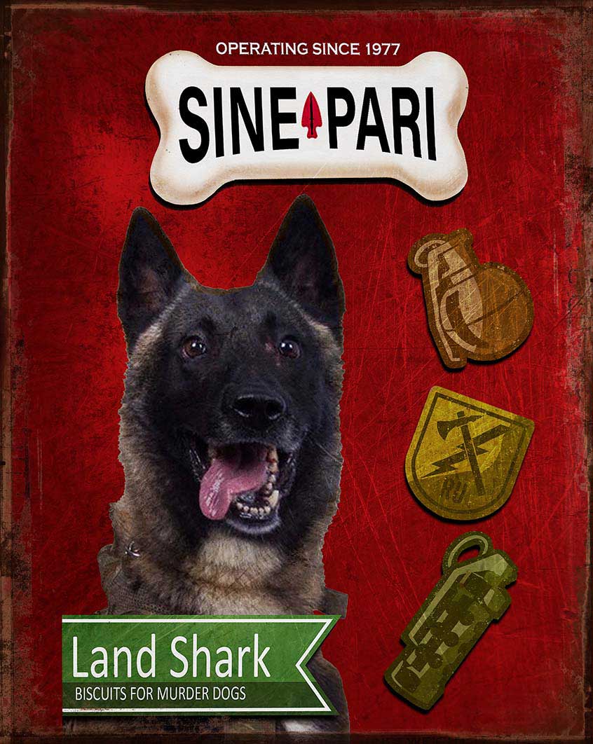 NR2100 - SINE PARI